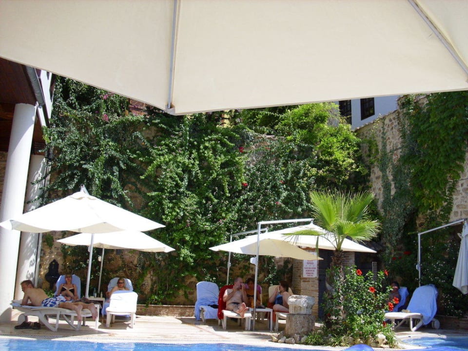 Pool mit Blick auf bewachsene Mauer Dogan Hotel by Prana Hotels & Resorts