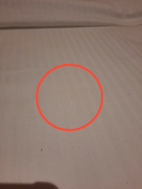 Zimmer Grand Bávaro Princess