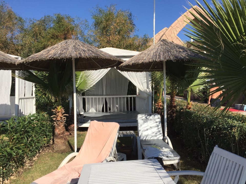 Am Strand mein kleiner eigener Garten Hotel Delphin Imperial