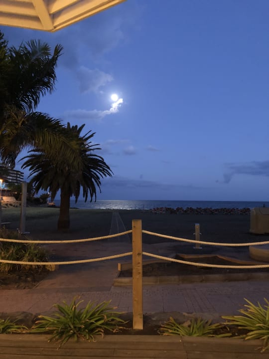 Strand Corallium Beach by Lopesan Hotels - Adults only