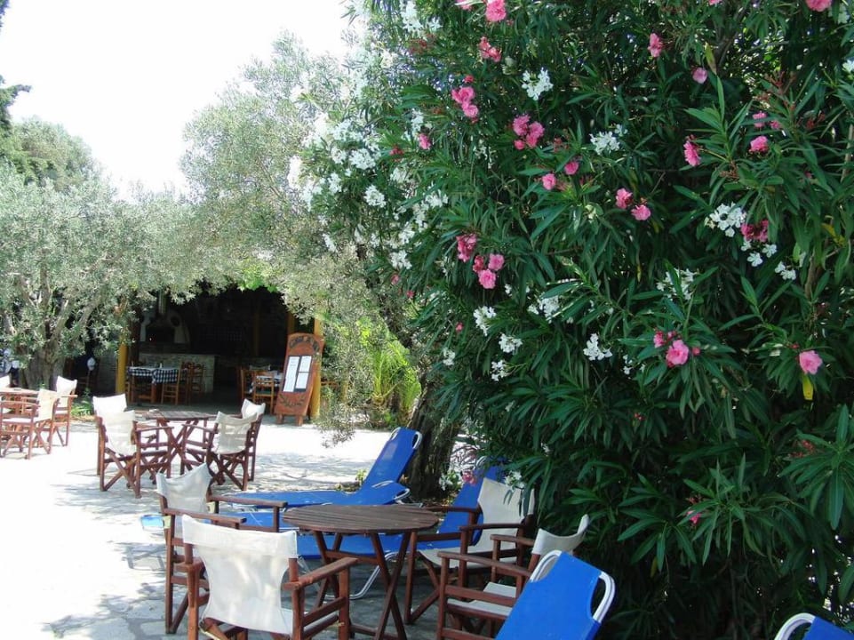 Geranion Village, Nikiti  Hotel Geranion Village