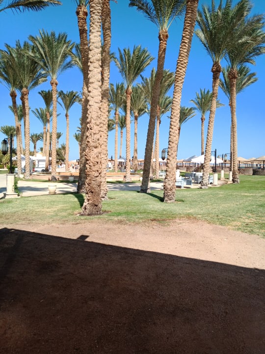 Außenansicht Grand Makadi