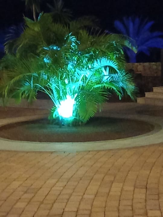 Gartenanlage R2 Rio Calma Hotel & Spa & Conference