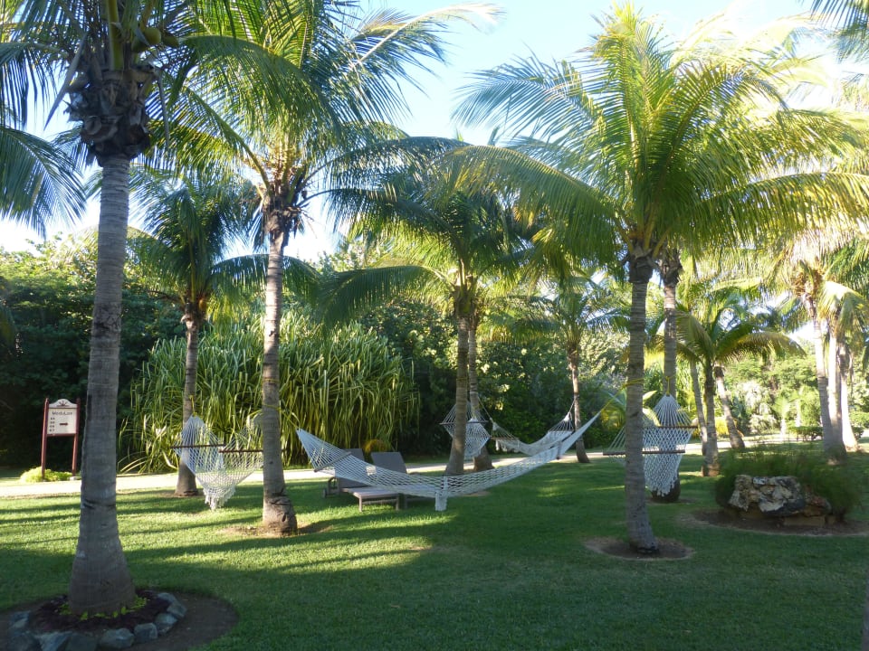 Hängematten an Palmen (herrlich) Melia Las Antillas - Adults only