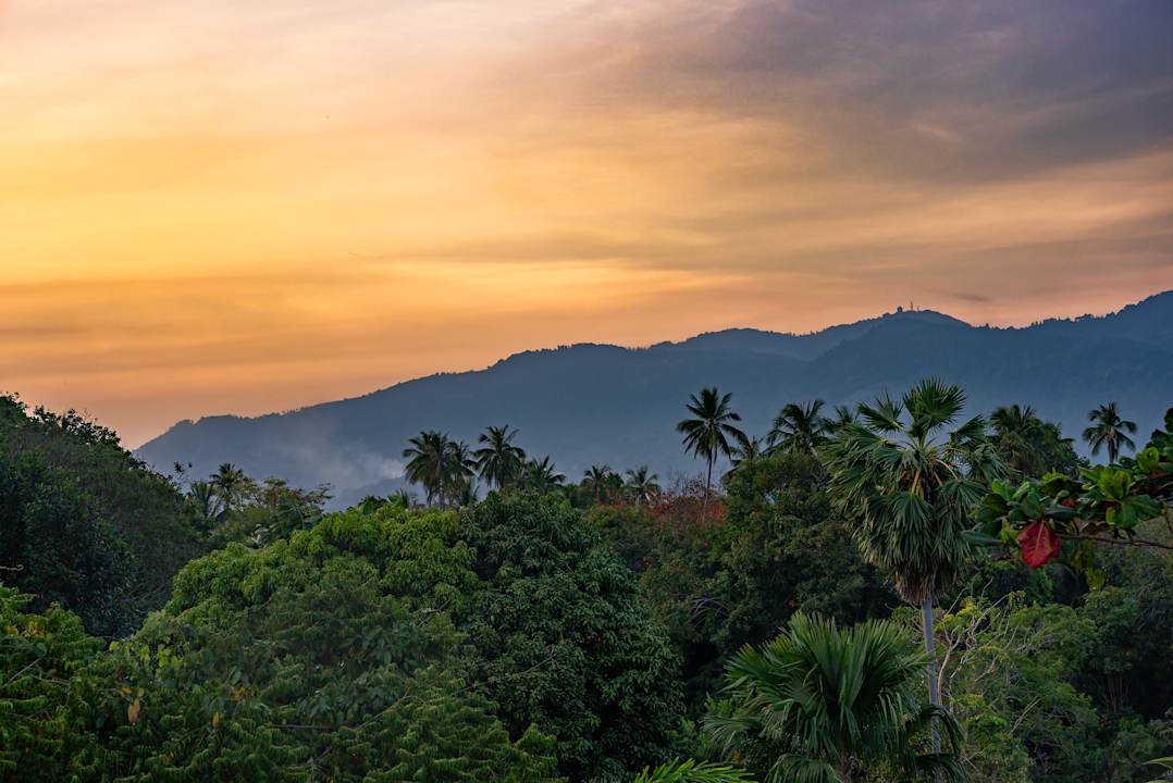 Ausblick Butterfly Garden Villa