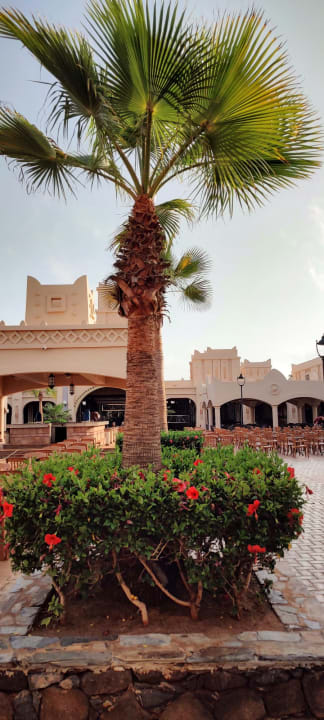 Gartenanlage Hotel Riu Touareg