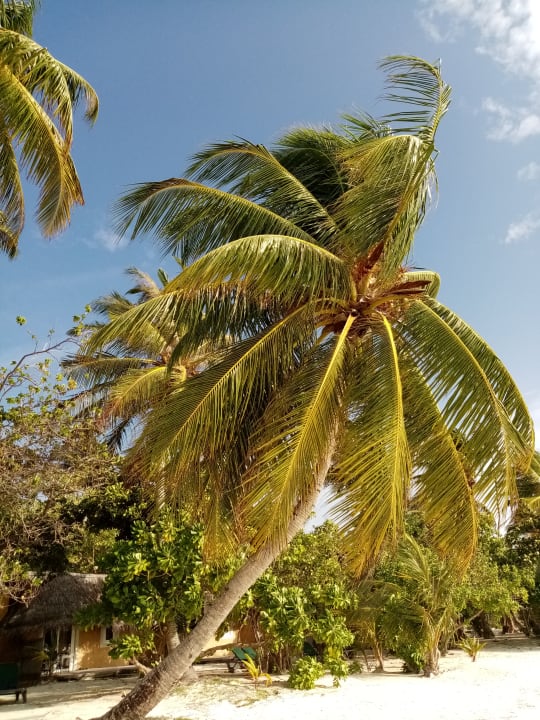 Sonstiges Kuredu Island Resort & Spa