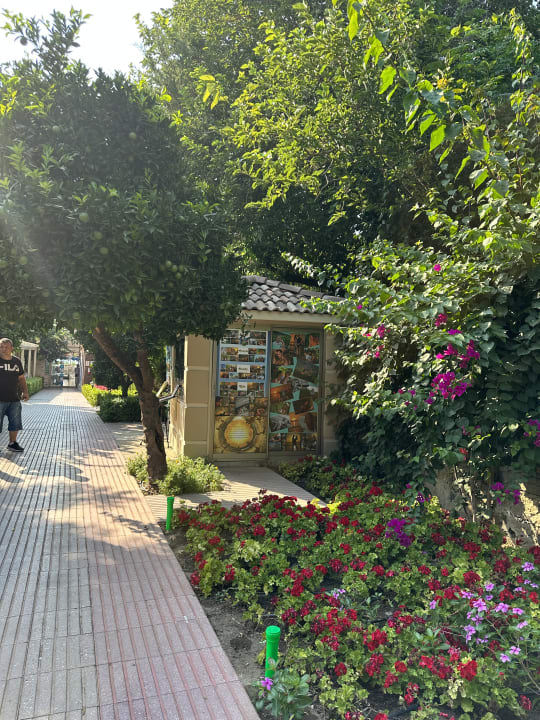 Gartenanlage Can Garden Beach