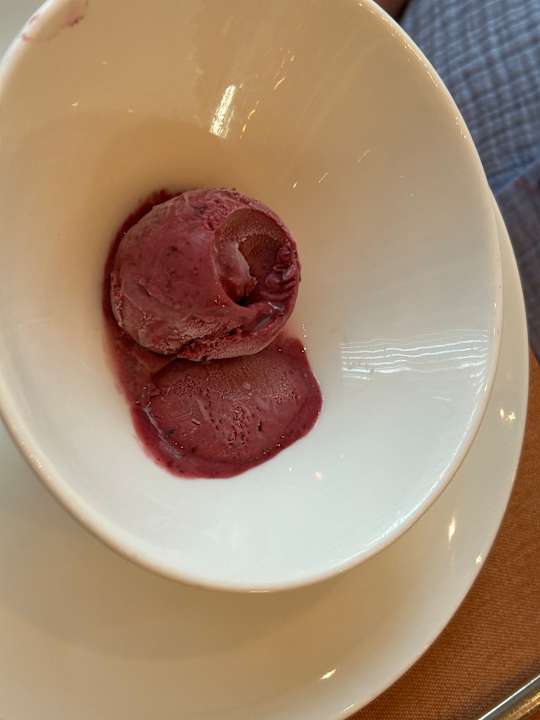Gastro Arum Barut Collection