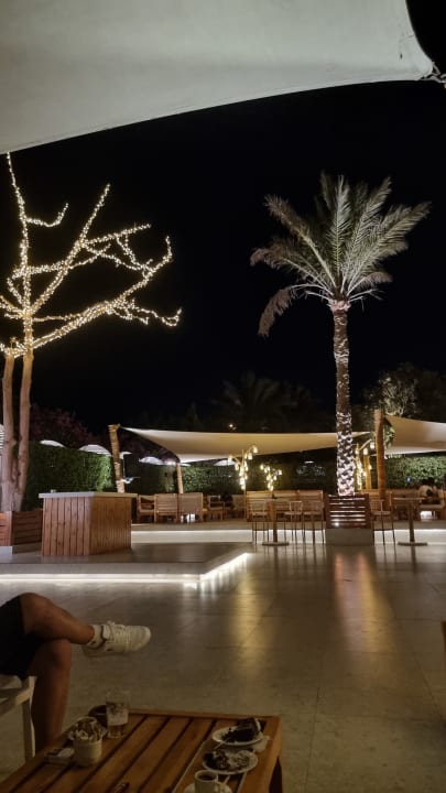 Sonstiges Desert Rose