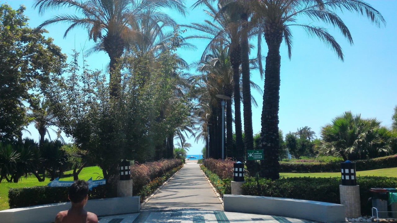 Wunderschöner Allee zum Sandstrand... AQI Pegasos World