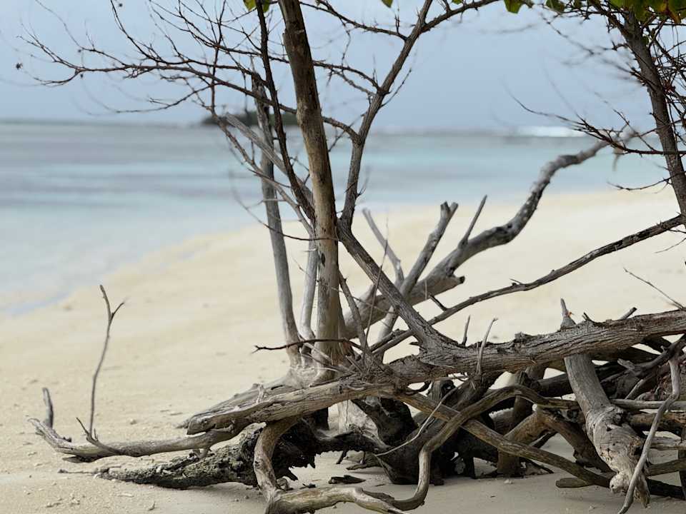 Strand Jawakara Islands Maldives