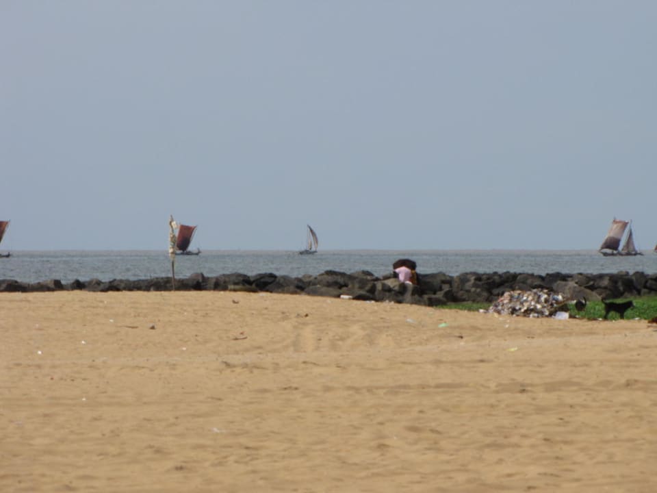 Garnelenfischer Goldi Sands Hotel