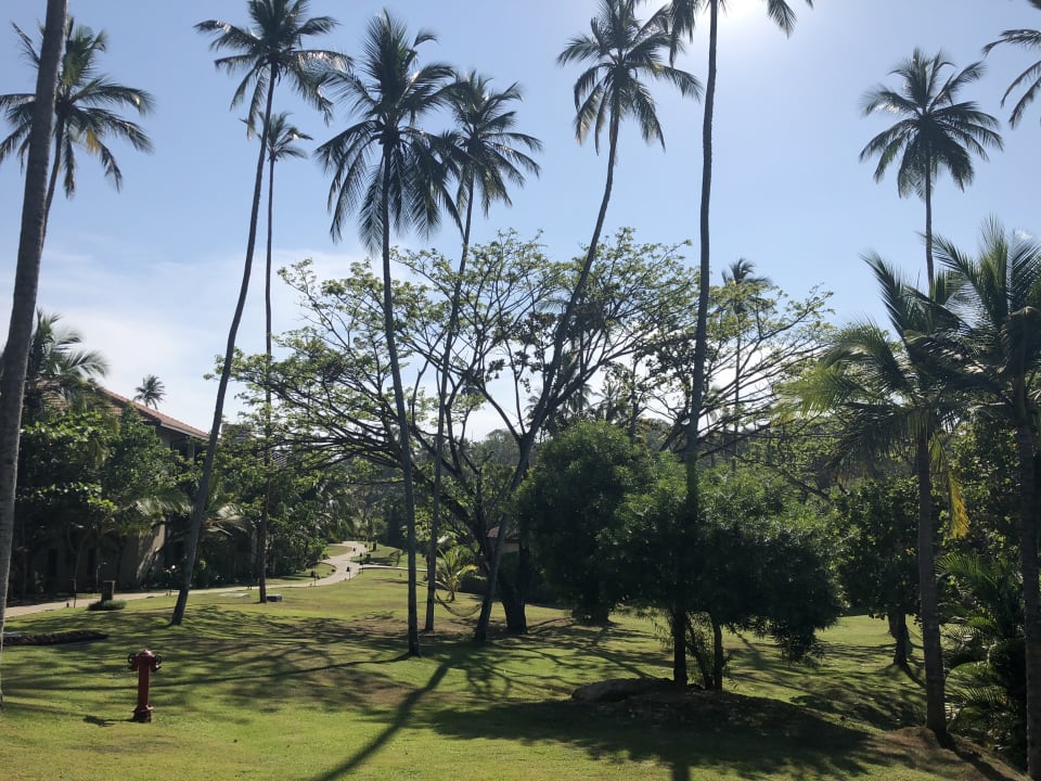 Gartenanlage Anantara Peace Haven Tangalle Resort