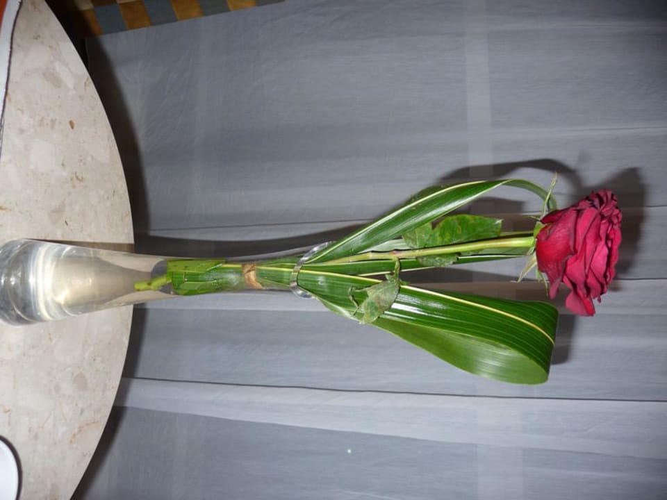 Frische Rose auf Zimmer Hotel Le Meridien Al Aqah Beach Resort