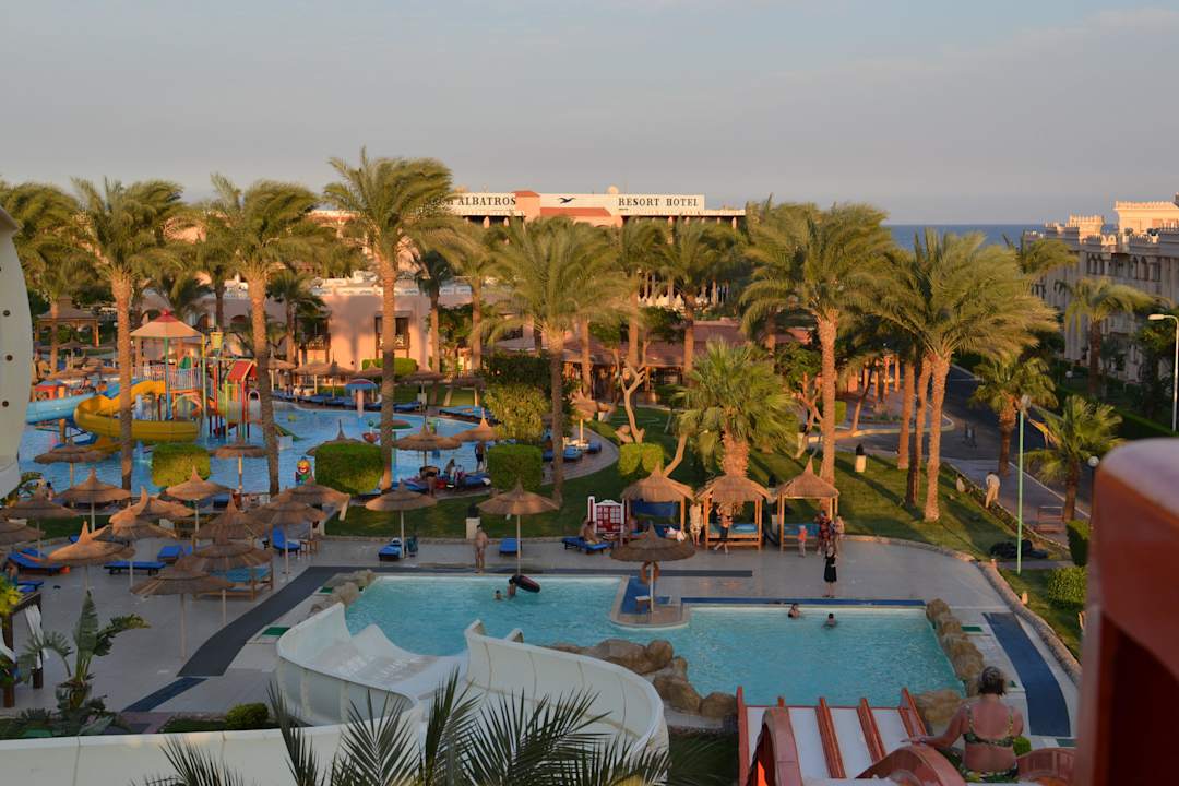 Вид с горки Beach Albatros Resort