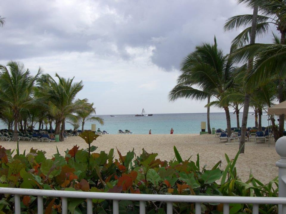 Ausblick auf Strand Hotel Riu Palace Punta Cana