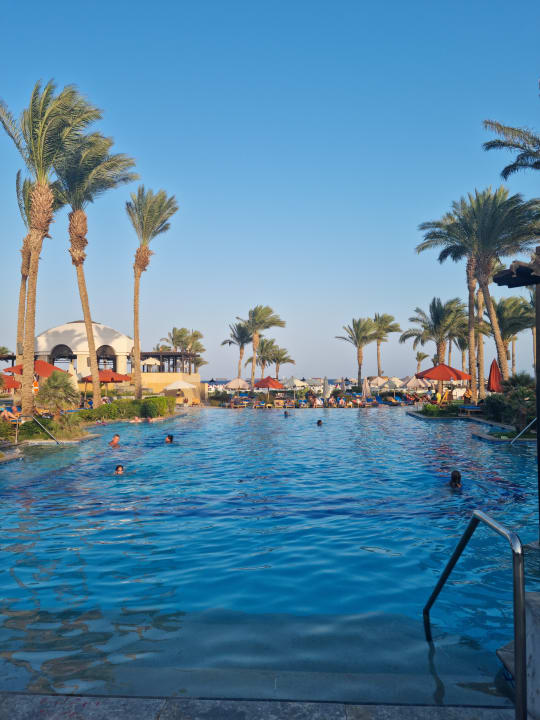 Pool Pickalbatros Palace Hotel-Port Ghalib