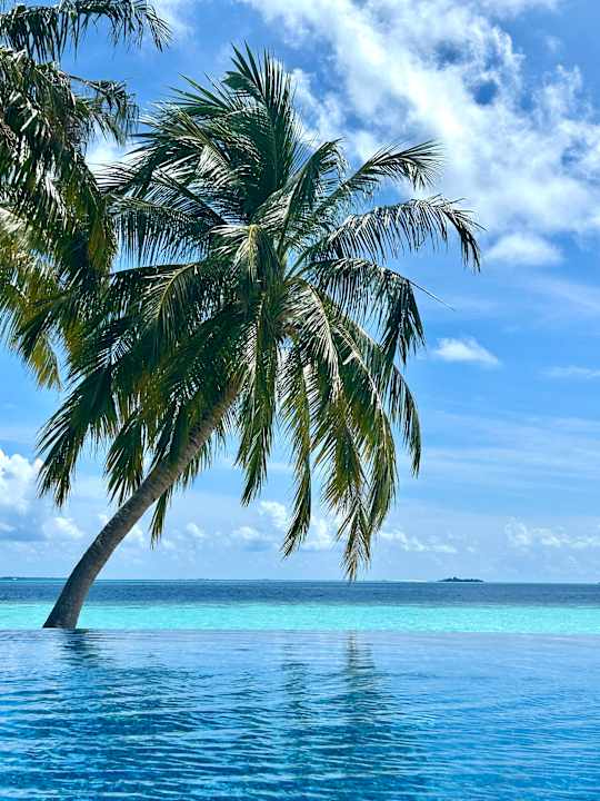 Pool Vilamendhoo Island Resort & Spa