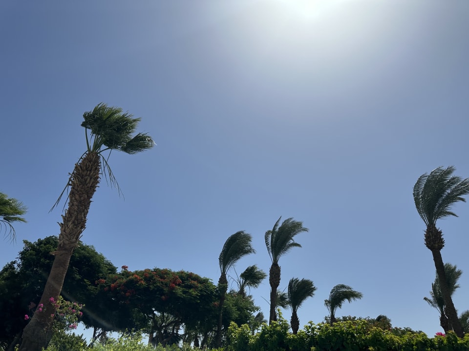 Ausblick Steigenberger ALDAU Beach Hotel
