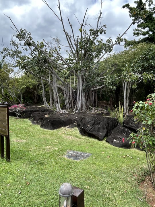 Gartenanlage Maritim Resort & Spa Mauritius