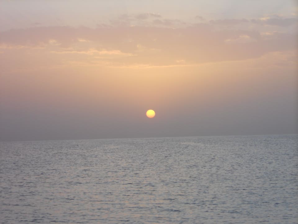 Sonnenaufgang Pickalbatros Palace Resort