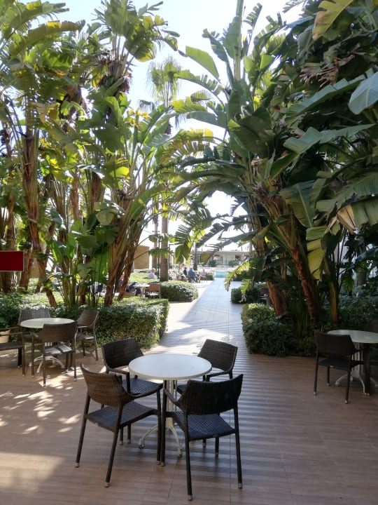 Gastro Sentido Trendy Verbena Beach