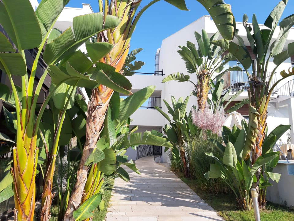 Pool Jiva Beach Resort