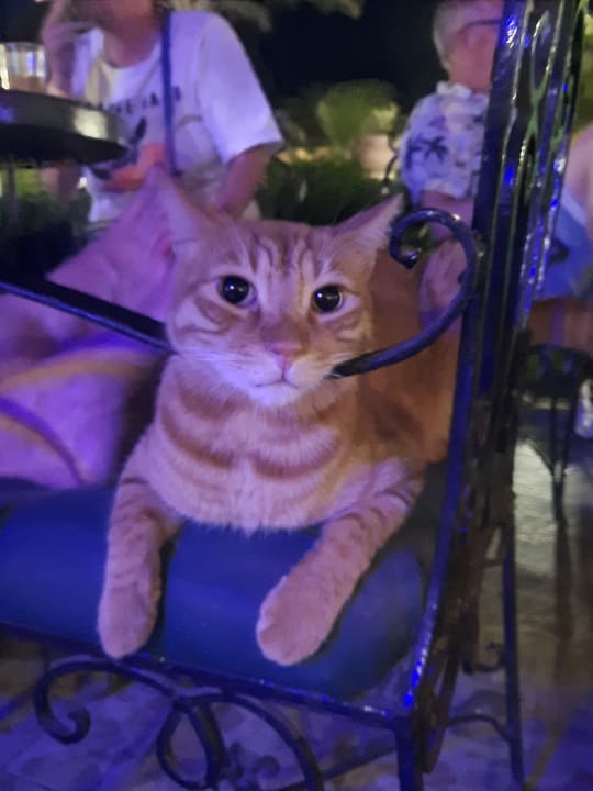 Sonstiges Giftun Azur Resort