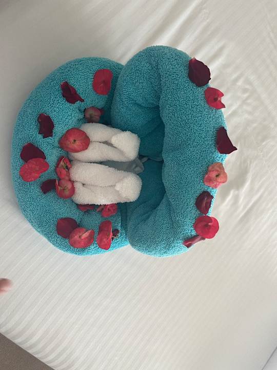 Zimmer Steigenberger Resort Ras Soma