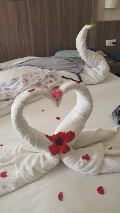 Zimmer Iberostar Waves Mehari Djerba