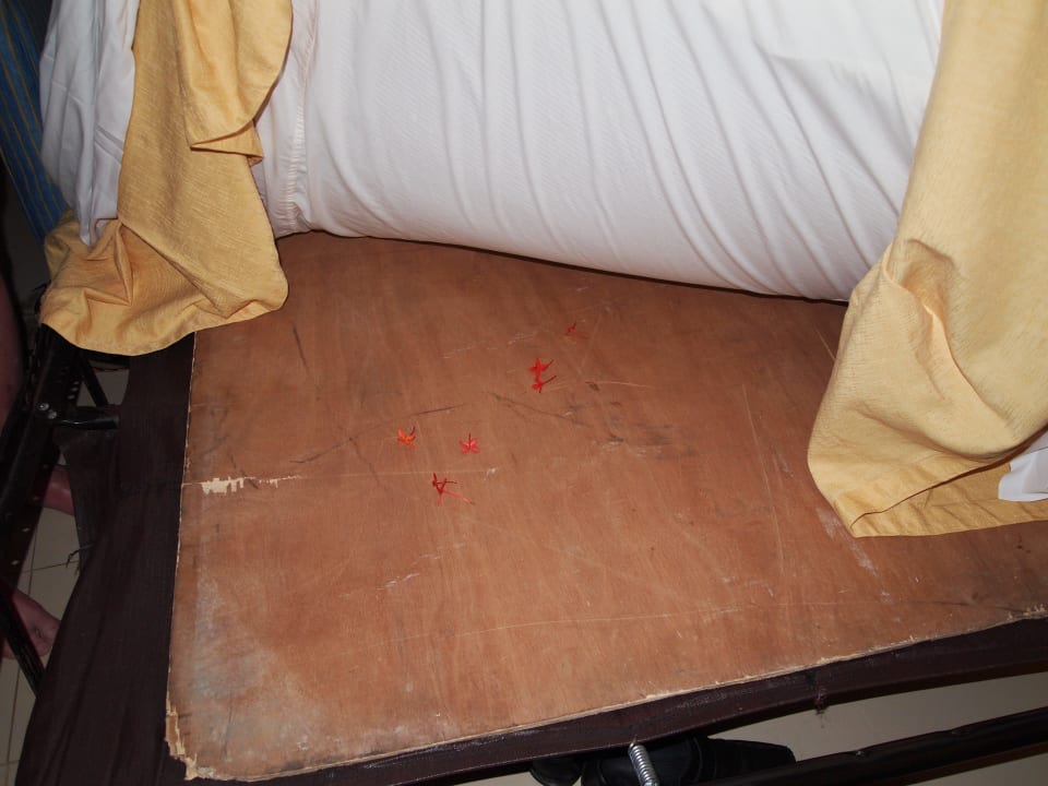 5 Sterne Provisorium Grand Palladium Select Bávaro Resort & Spa