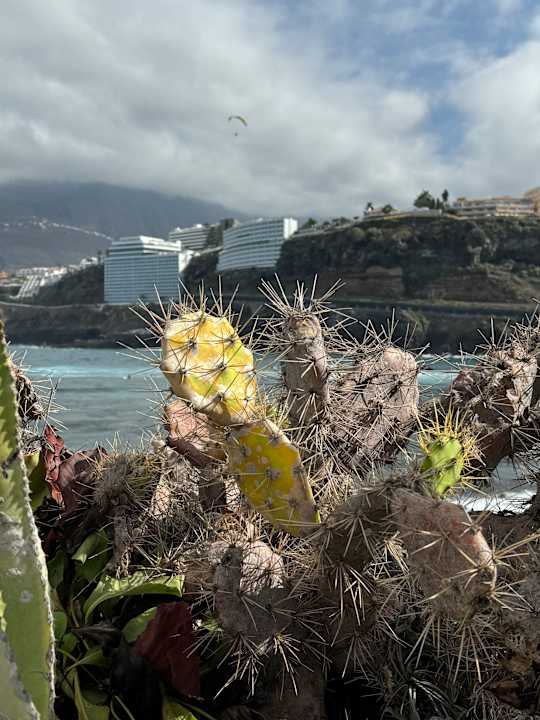 Ausblick Atlantic Mirage Suites & Spa - Adults only