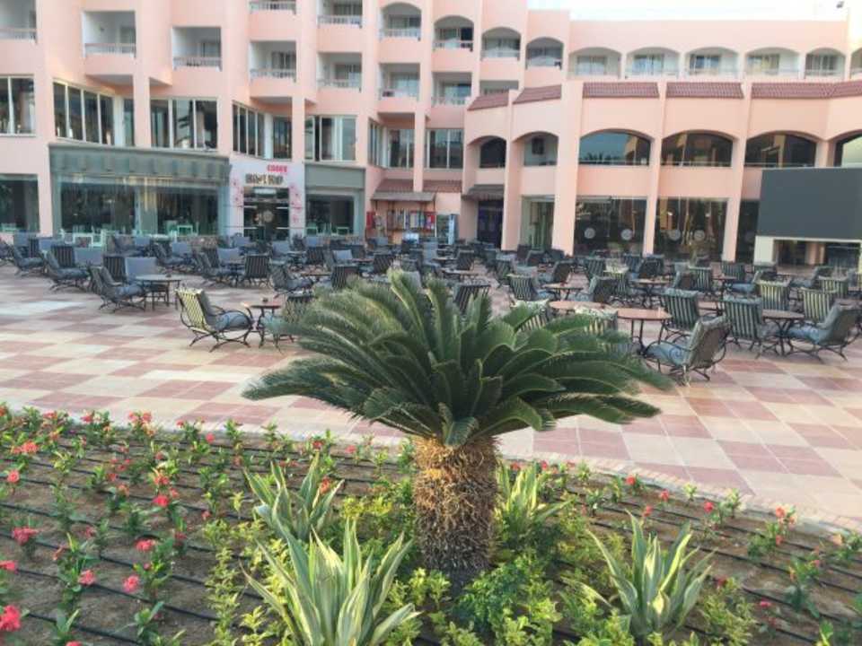 Terrasse Beach Albatros Resort