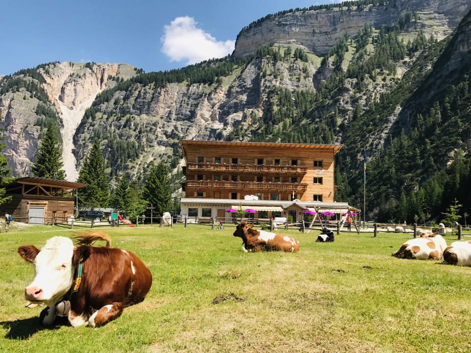 Außenansicht Berggasthaus Pederü