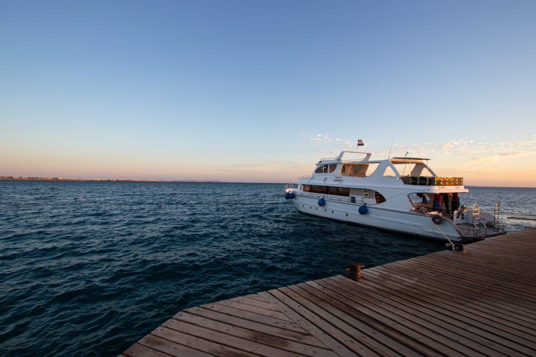 Ausblick Desert Rose