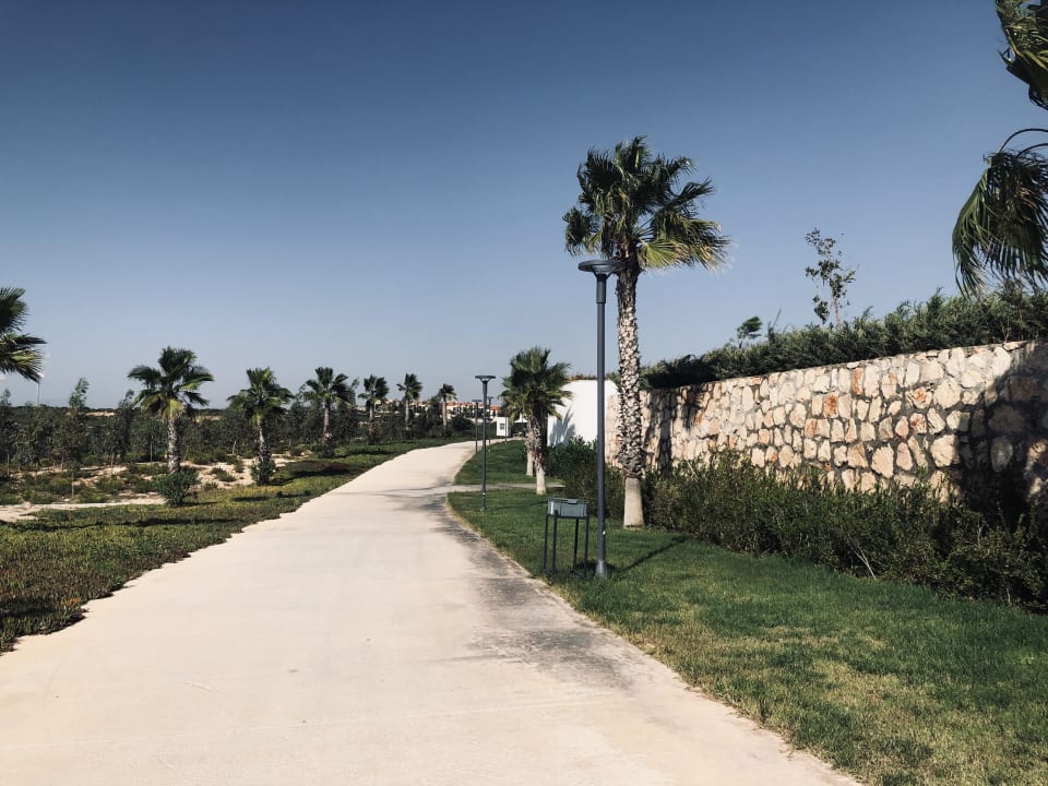 Gartenanlage Aquasis De Luxe Resort & Spa