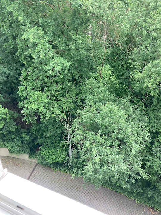 Außenansicht Best Western Plaza Hotel Zwickau