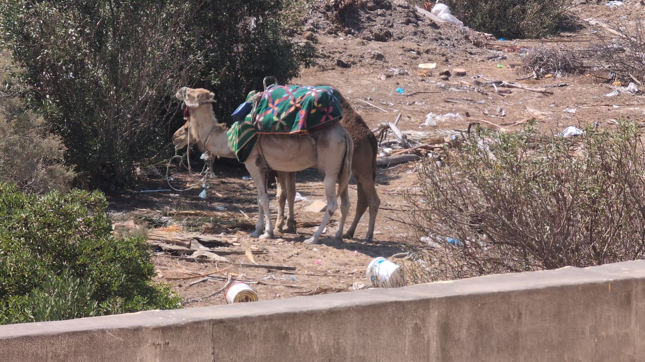 Außenansicht Skanes Serail Aquapark