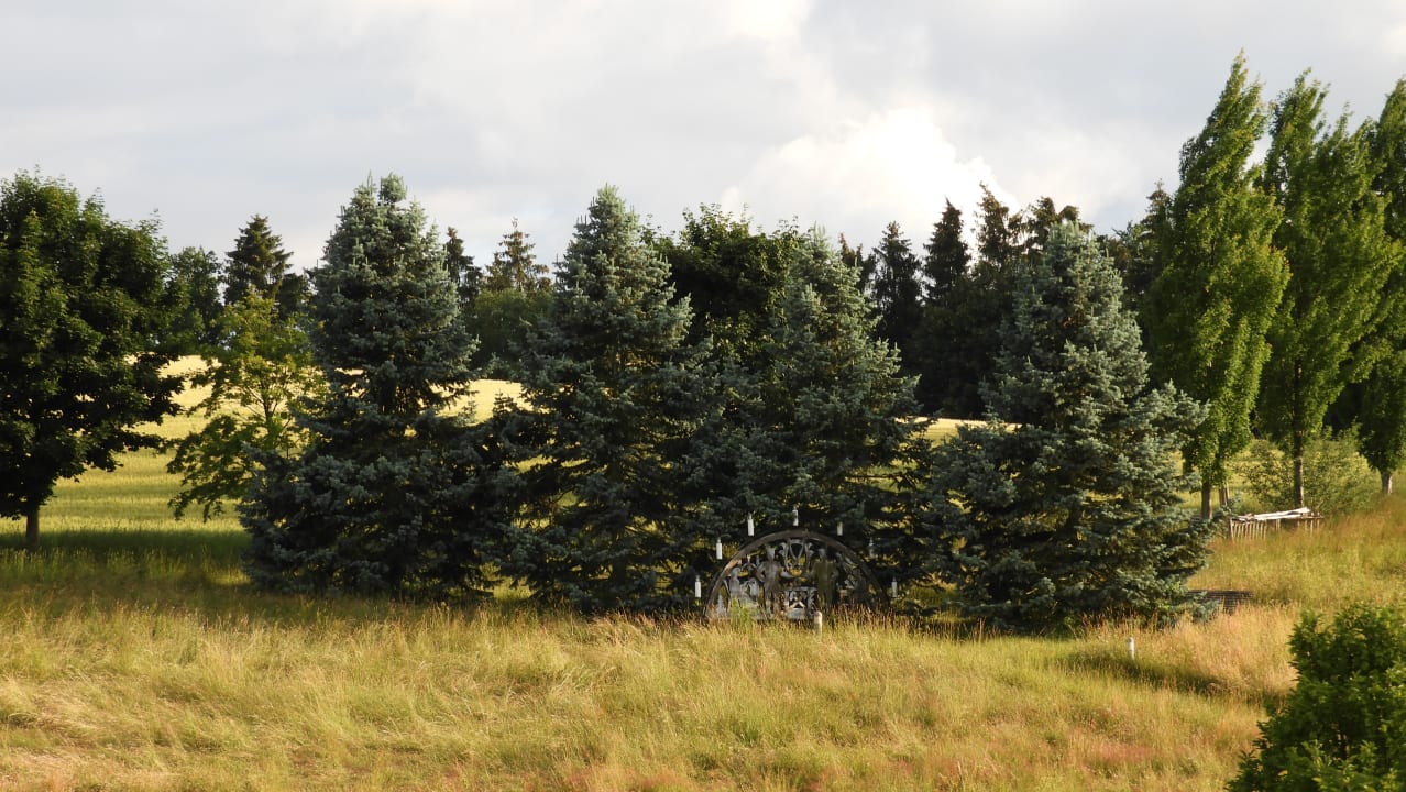 Gartenanlage Santé Royale Warmbad Wolkenstein
