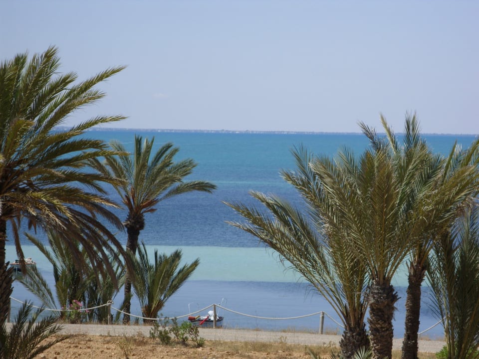 Blick vom Balkon Hotel El Mouradi Djerba Menzel