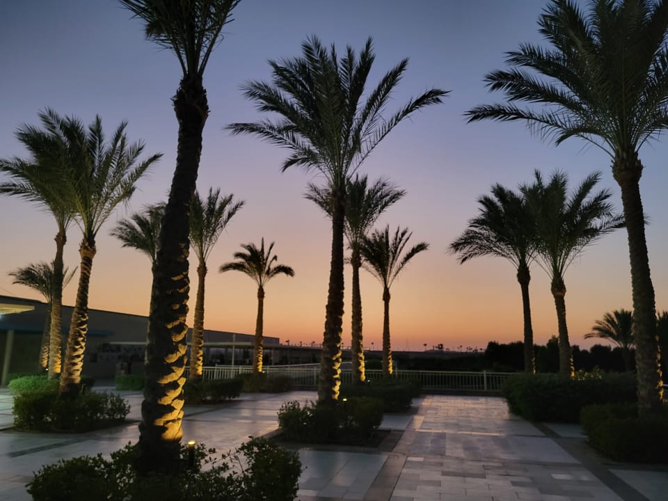 Sonstiges Jaz Aquaviva