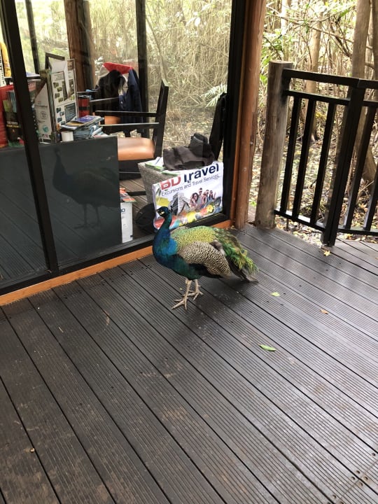 Sonstiges Sandos Caracol Eco Resort & Spa Select Club Adults only - All Inclusive