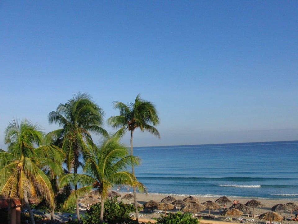 Vom Zimmer Starfish Cuatro Palmas