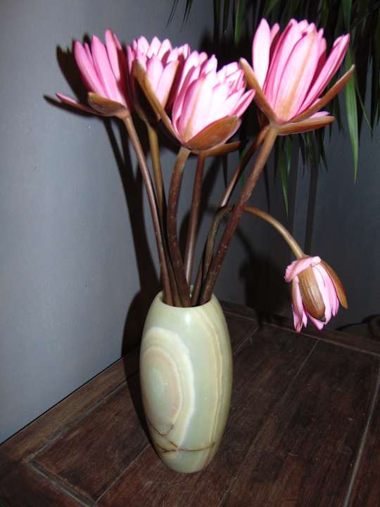 Sonstiges Le Clos Du Fil