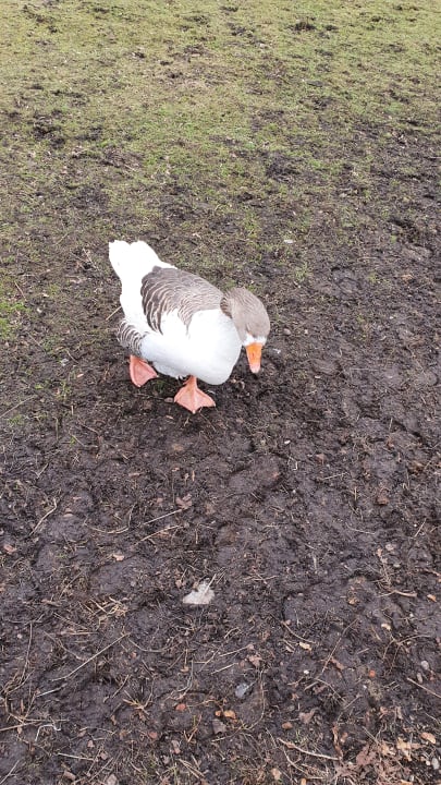 Ausblick Hotel Hofgut Tiergarten