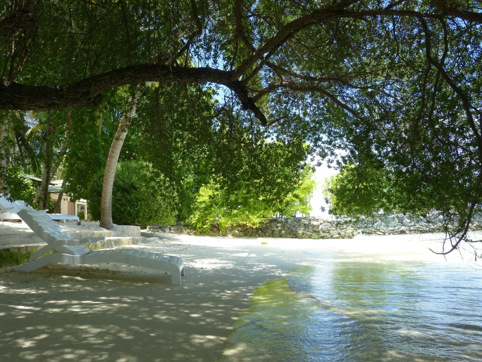 Strand Bungalows 35 Summer Island Maldives
