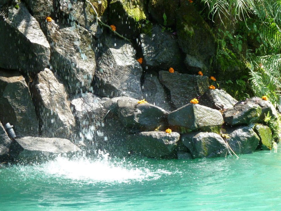 Pool mit täglich frischen Blüten Jamahal Private Resort & Spa