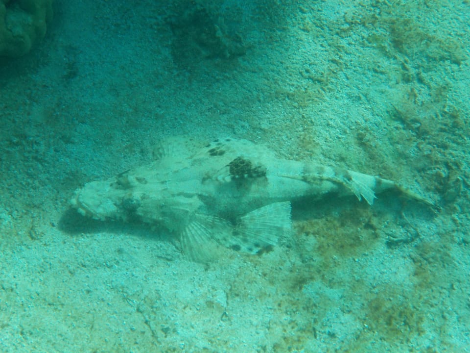 Sport & Freizeit Utopia Beach Club