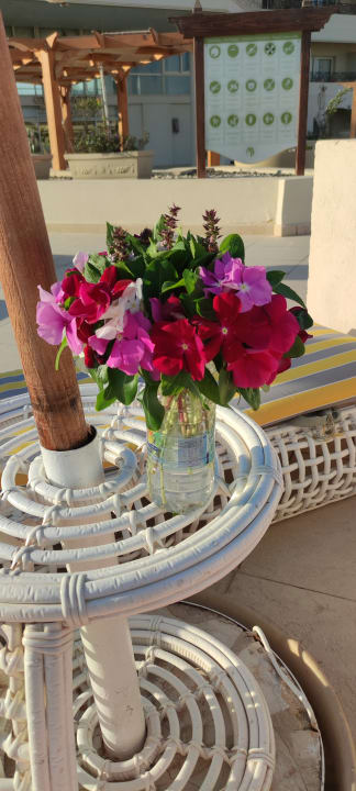 Sonstiges Cleopatra Luxury Resort Makadi Bay